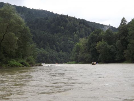 dunajec_8.jpg