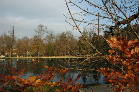 felsotarkanyi_todsc_0072_2.jpg