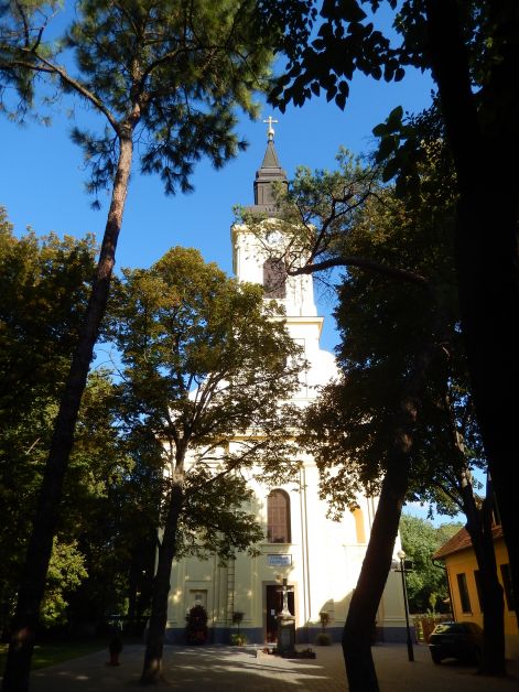 szent_miklos_t._gyula_7.jpg