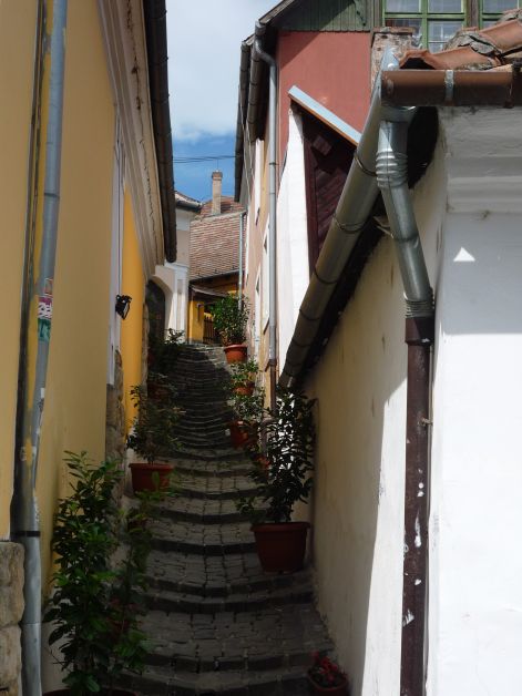 szentendre._sikator..jpg